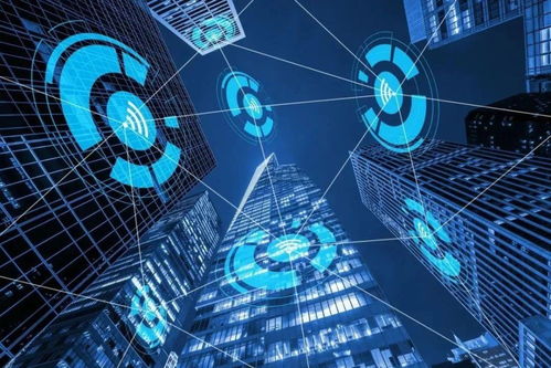 智網(wǎng)安云 東西湖企業(yè)守護(hù)中國西北網(wǎng)絡(luò)安全，引領(lǐng)網(wǎng)絡(luò)技術(shù)開發(fā)創(chuàng)新